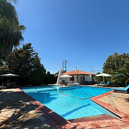 Country House With Pool And Big Garden Oropos Exteriör bild